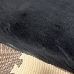 【訳あり無料でお譲りします！】2人がけソファー ぶらブラックの画像