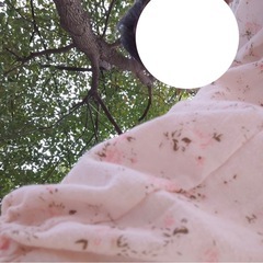 シャツ風ワンピースの画像