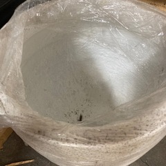 大きな鉢みたいなものですあなものですあの画像