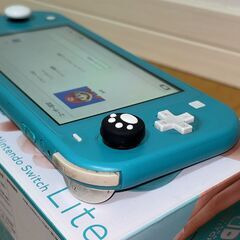 Nintendo Switch Lite ターコイズ 本体 箱付きの画像