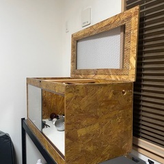 爬虫類飼育ケージ しいくせっと飼育セットの画像