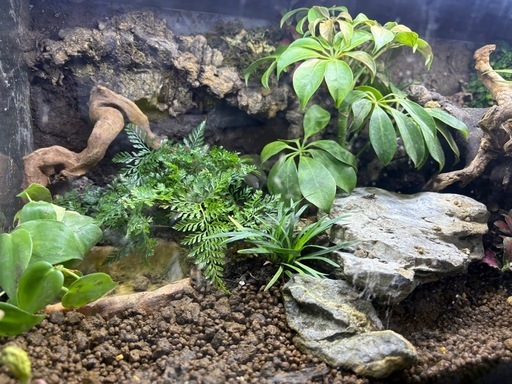 両生類飼育可能！中型テラリウム水槽（照明付き）