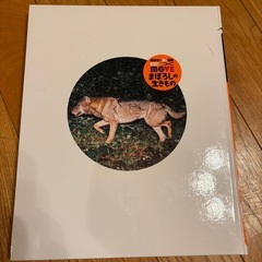 まぼろし生き物ずかんの画像