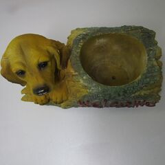 黄色い犬の画像