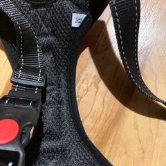 犬のリードの画像