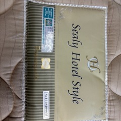 商談中　
ダブルベットの画像