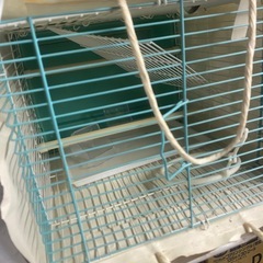 鳥かご　ケージ？
の画像