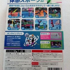 【美品】Switch Sportsの画像