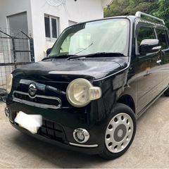 ココア X 低走行車‼️の画像