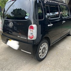 ココア X 低走行車‼️の画像