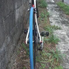 キャノンデール スライス 51サイズ シマノ 105 2x10S Cannondale SLICEの画像