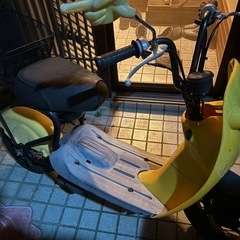 スズキ　　チョイノリの画像