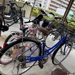 決定済の画像