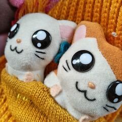 ➉とっとこハム太郎　マフラー　中古　イエローの画像