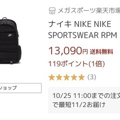 【美品】NIKE SB RPM バックパックの画像