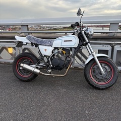 ホンダエイプすぐ乗れます。の画像