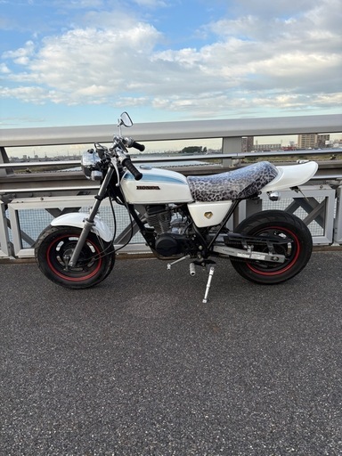 ホンダエイプすぐ乗れます。