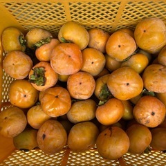 無農薬　次郎柿　10個　300円の画像