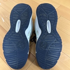 バッシュの画像