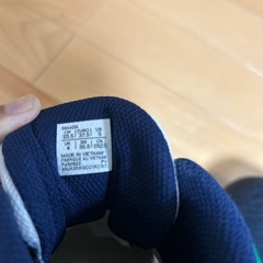 バッシュの画像