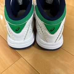 バッシュの画像