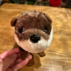 かわうそ　ぬいぐるみ　動くの画像