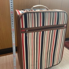 【キャリーケース】オシャレかわいいカラー！の画像