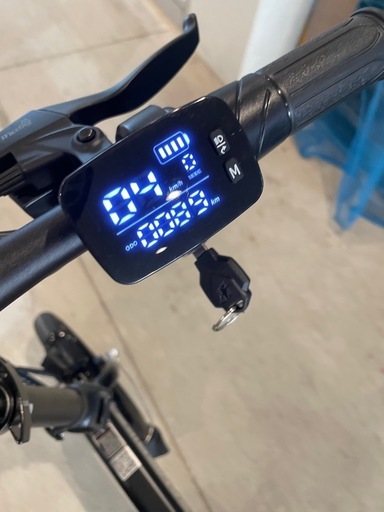 電動バイク　SAMEBIKE YINYU14-II