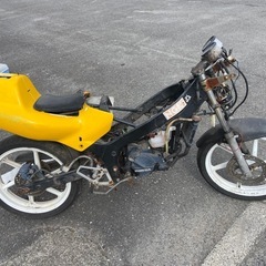 ns-1の画像