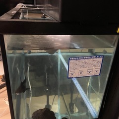 水槽の画像