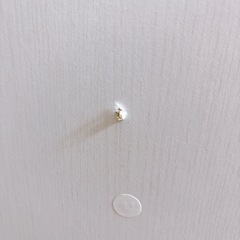 【ニトリ】マルチ本棚 リブリー1170 ホワイトの画像