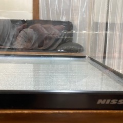 NISSO60センチ水槽🐠の画像