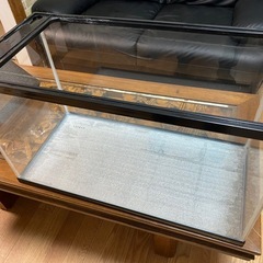 NISSO60センチ水槽🐠の画像