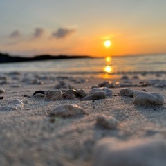 大型ネイキッド