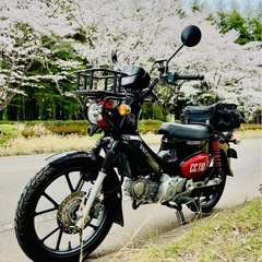 Honda クロスカブ　くまモンバージョンの画像