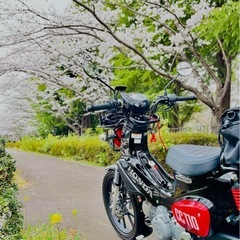 Honda クロスカブ　くまモンバージョンの画像