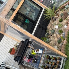 アガベ&ドライガーデンやってみたい人大歓迎200円からあります。の画像