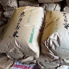 令和7年　奈良県産　ヒノヒカリの画像