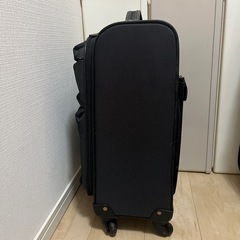 キャリーバッグの画像