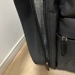 キャリーバッグの画像