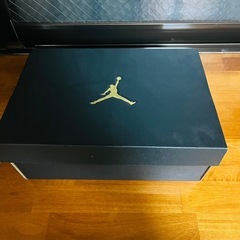 エアジョーダン 1LOW 26㌢美品の画像
