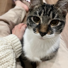 ベタベタ甘えたさん兄妹