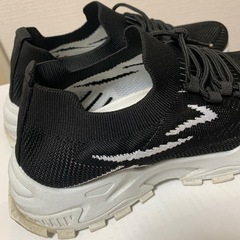 通気性の良いスニーカー　無料で差し上げますの画像