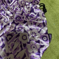 ANNA SUI バックとセットの画像