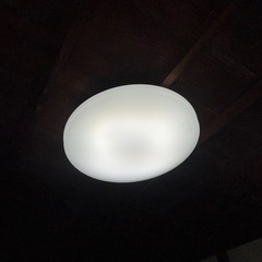 LED リーリングライト 19年製 の画像