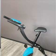 イグニオ　サイクリングマシンの画像