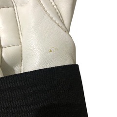 【adidas】 スピード 50 ボクシンググローブ 10オンスの画像