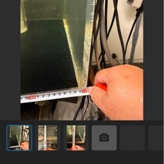 水槽のみのみの画像