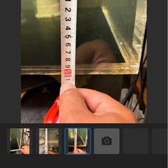 水槽のみのみの画像