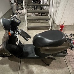 HONDA TODAY 原付ばバイクの画像